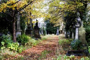 undercliffe november 2012 1 sm.jpg